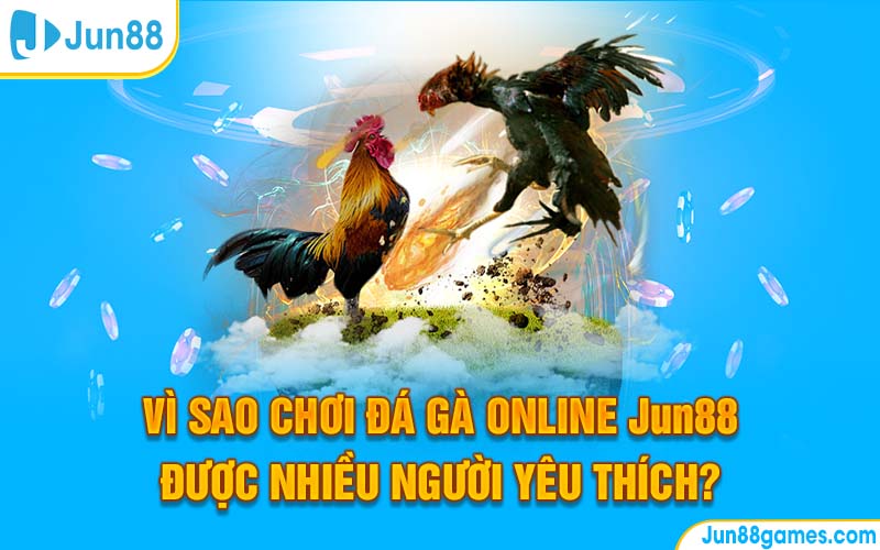 Vì Sao Chơi Đá Gà Online Jun88 Được Nhiều Người Yêu Thích?