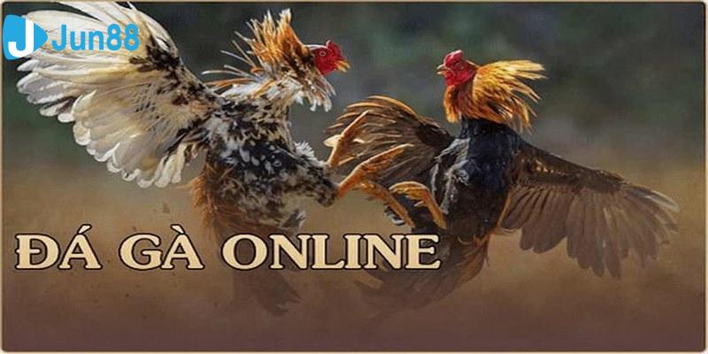 Chia sẻ kinh nghiệm chơi đá gà online hiệu quả của cao thủ