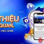 QH88 - Sân Chơi Giải Trí Đẳng Cấp, An Toàn Hàng Đầu